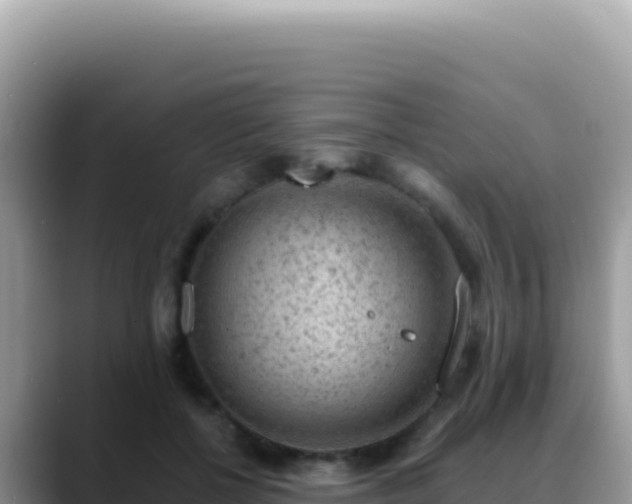 X0000088730552200706071642