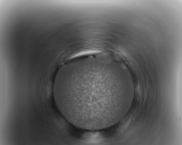 X0000088730554200706071642