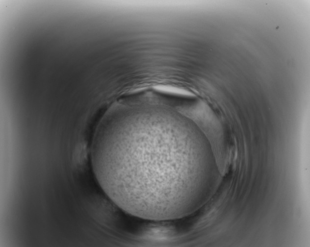 X0000088730555200706071642