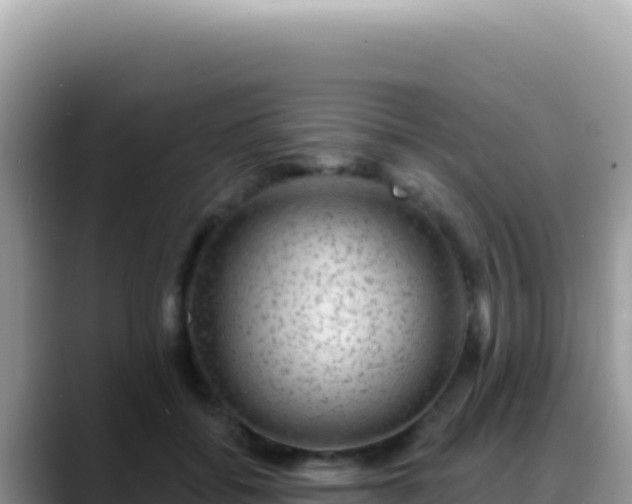 X0000088730556200706071642