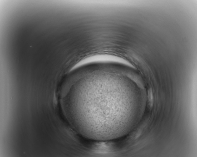 X0000088730558200706071642