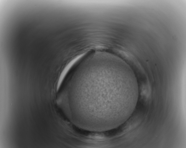 X0000088730559200706071642