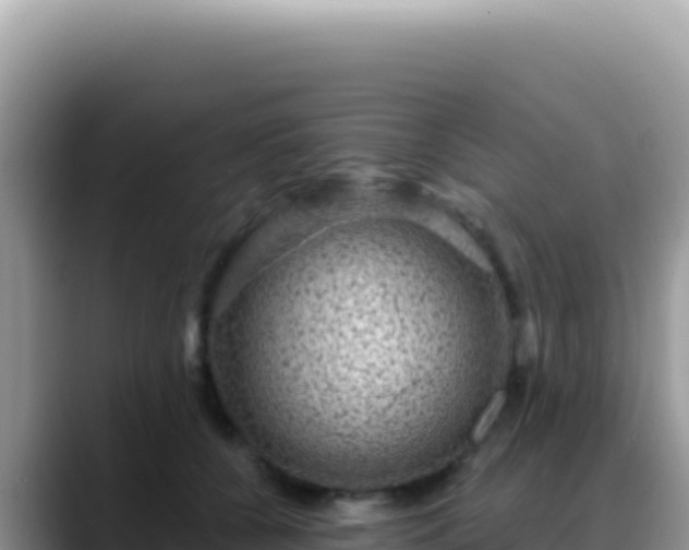 X0000088730560200706071642