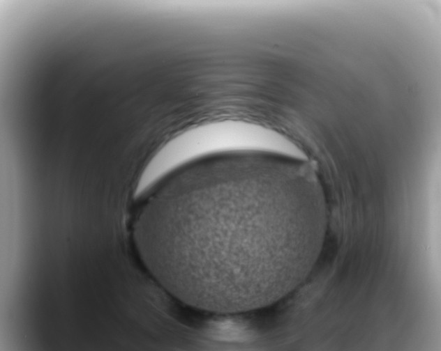 X0000088730561200706071642