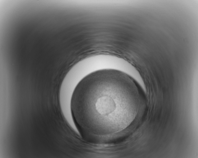 X0000088730562200706071642