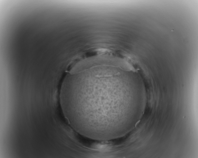 X0000088730563200706071642