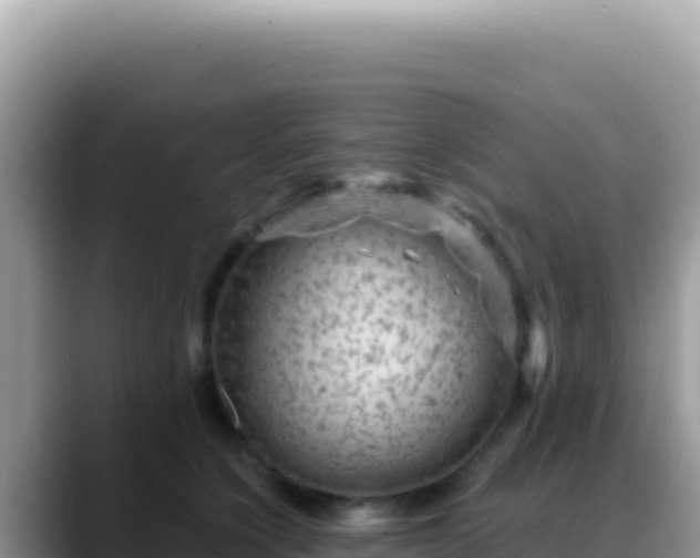 X0000088730564200706071642