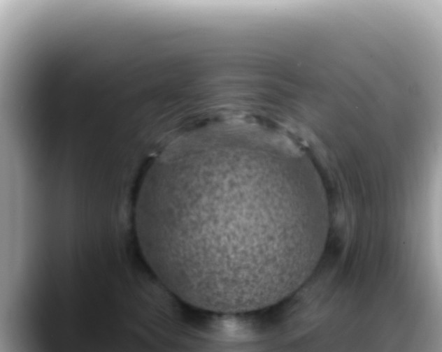 X0000088730565200706071642