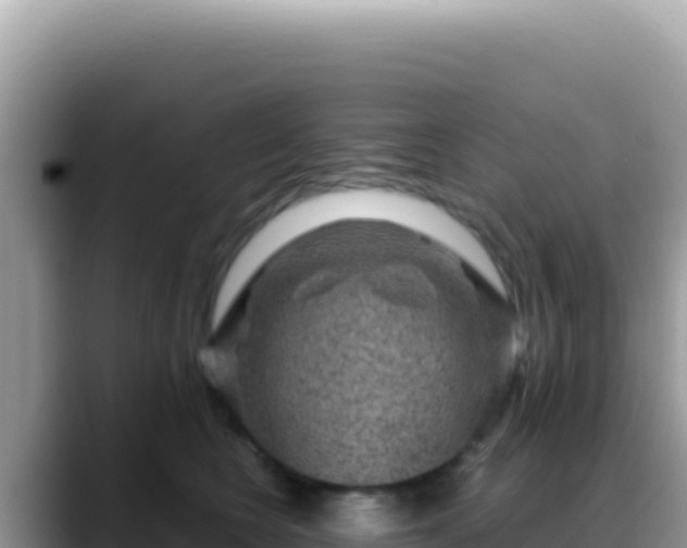 X0000088730566200706071642