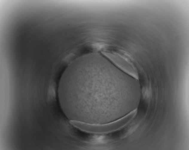 X0000088730570200706071642