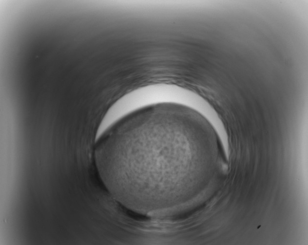 X0000088730571200706071642