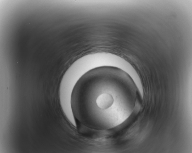 X0000088730572200706071642