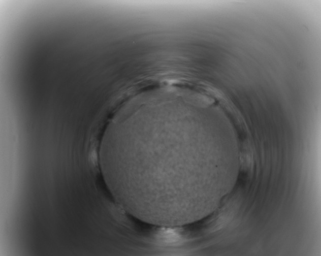 X0000088730573200706071642
