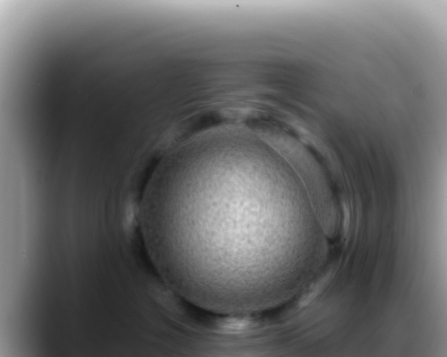 X0000088730574200706071642