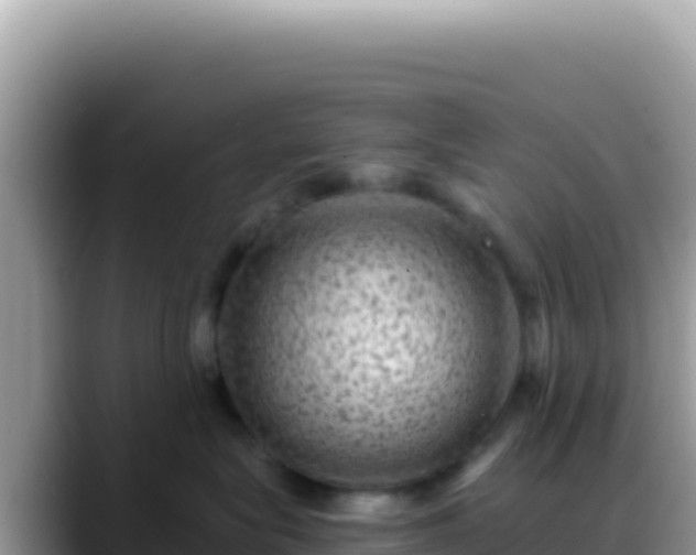X0000088730575200706071642