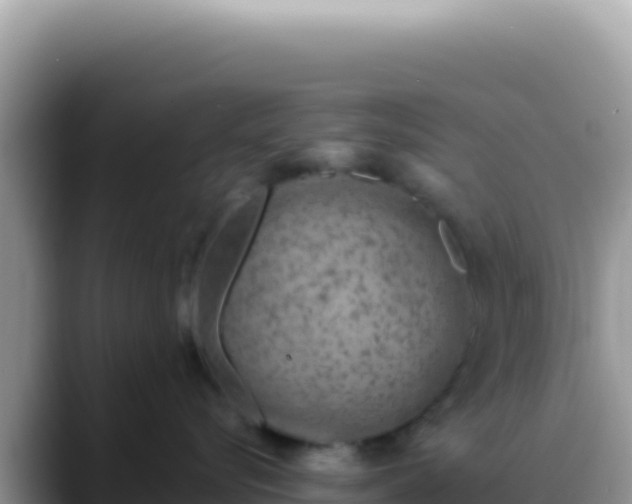 X0000088730576200706071642