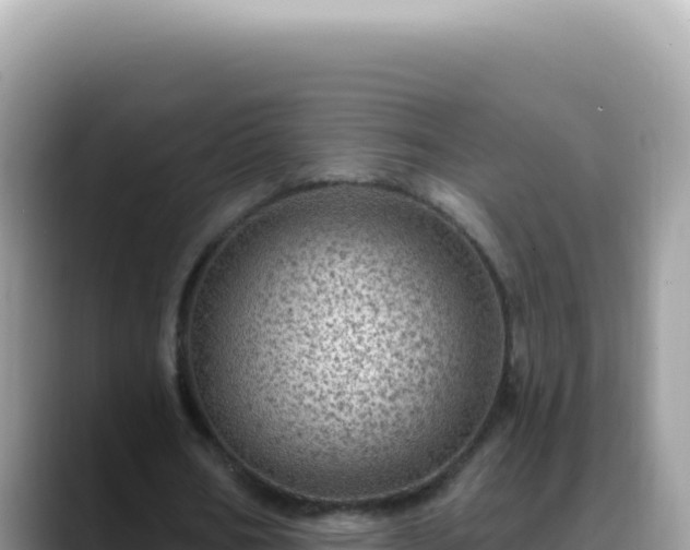 X0000088730578200706071641