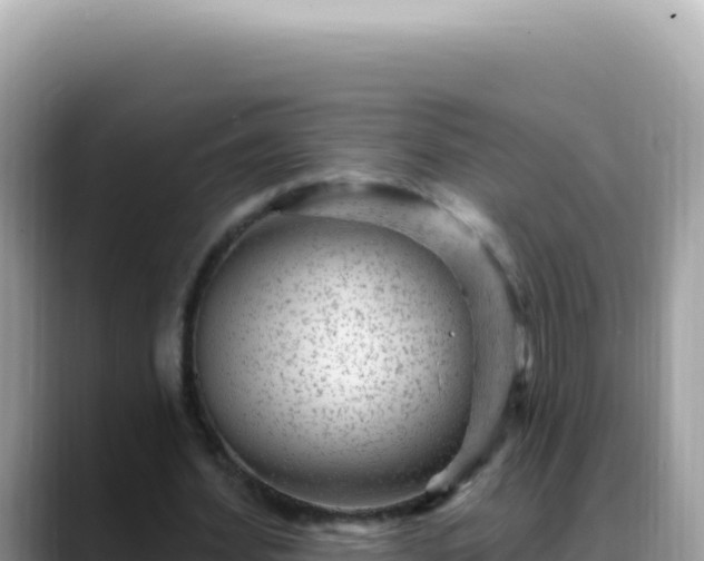 X0000088730580200706071641