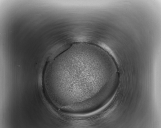 X0000088730581200706071641