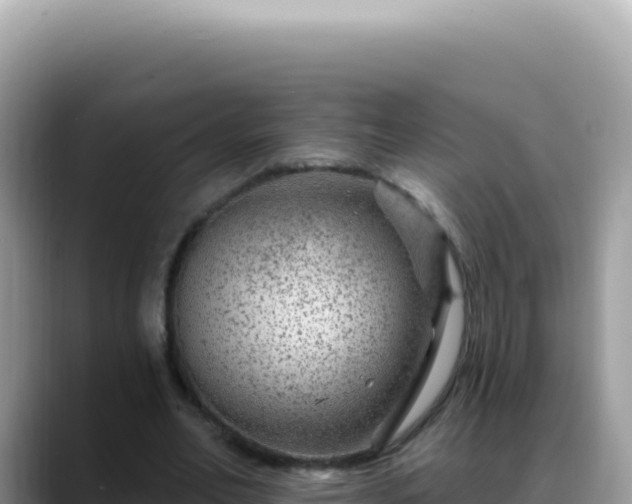 X0000088730582200706071641