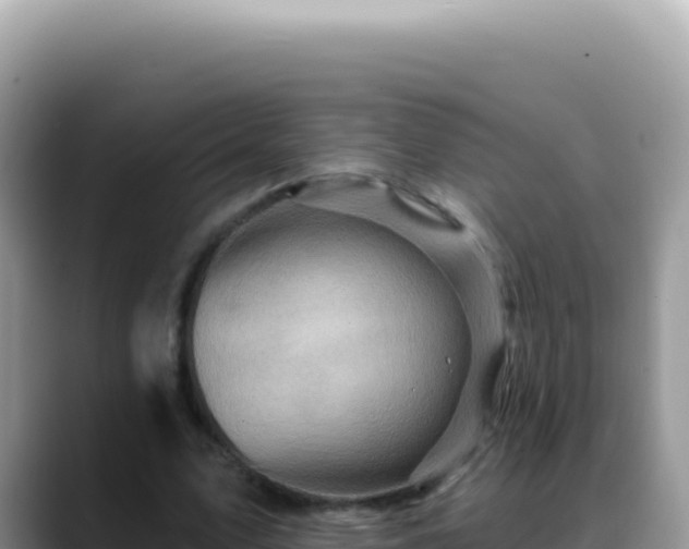 X0000088730583200706071641