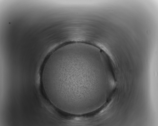 X0000088730584200706071641