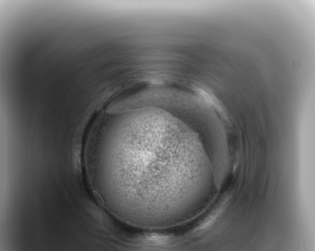 X0000088730585200706071641