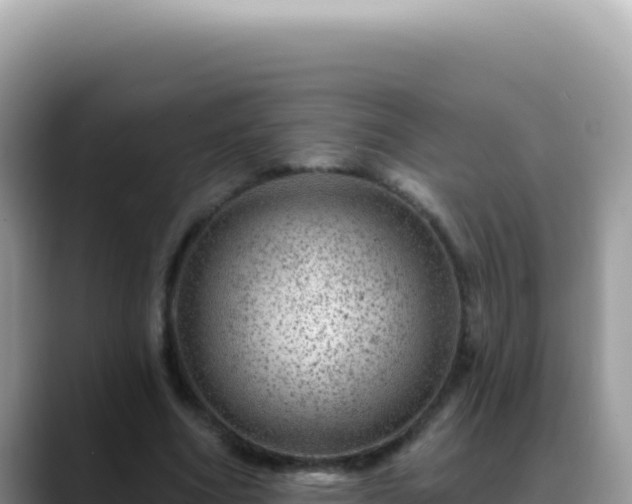 X0000088730586200706071641