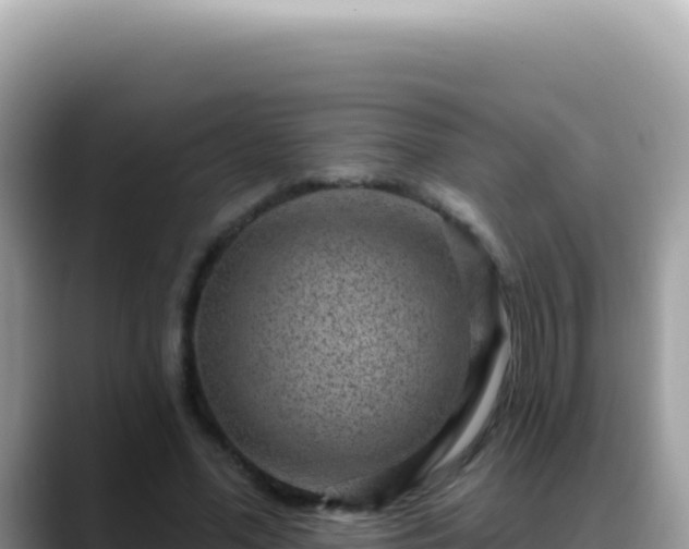 X0000088730588200706071641