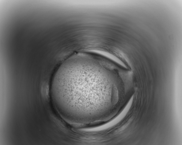 X0000088730589200706071641