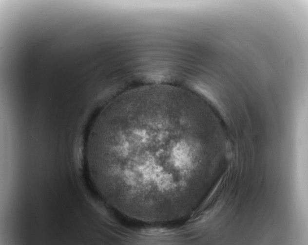 X0000088730590200706071641