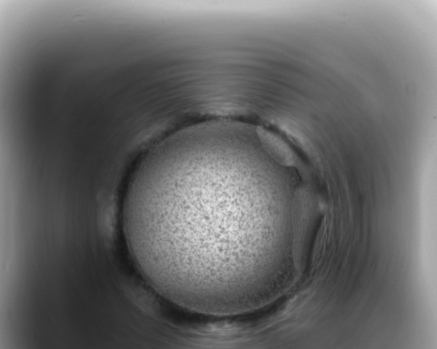 X0000088730591200706071641