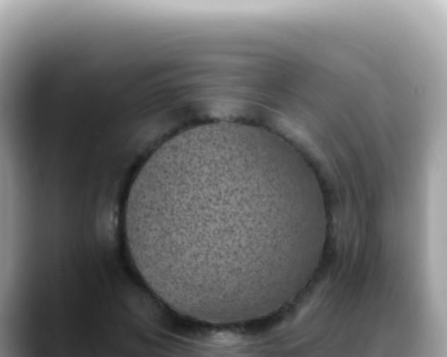 X0000088730592200706071641
