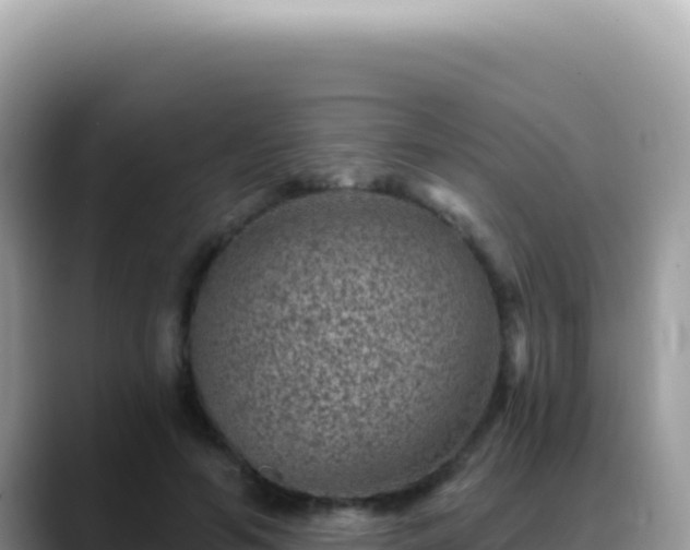 X0000088730594200706071641