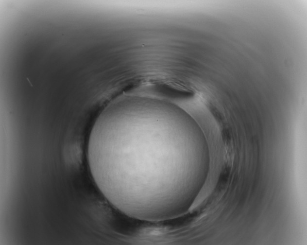 X0000088730595200706071641