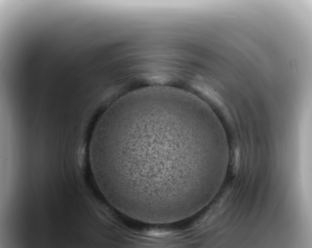 X0000088730596200706071641