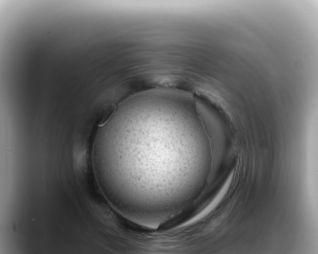 X0000088730597200706071641