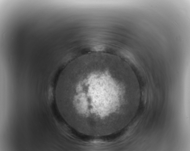 X0000088730598200706071641