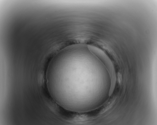 X0000088730599200706071641