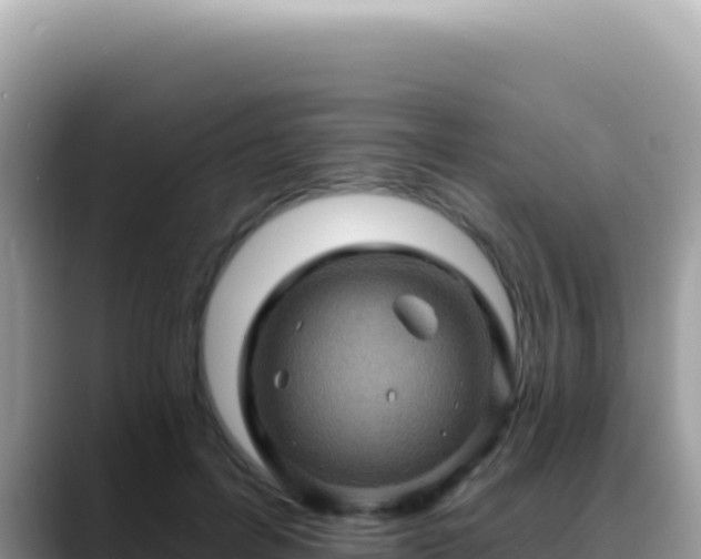 X0000088730600200706071641