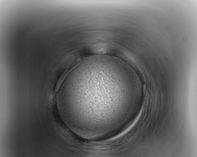 X0000088730601200706071641