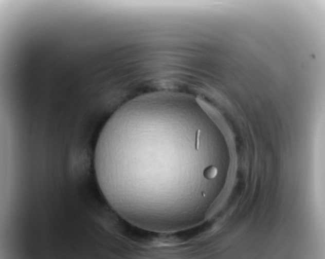 X0000088730603200706071641