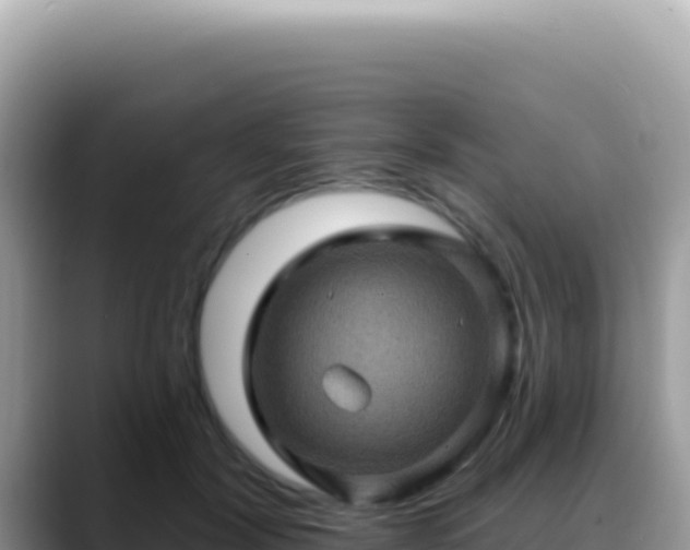 X0000088730604200706071641