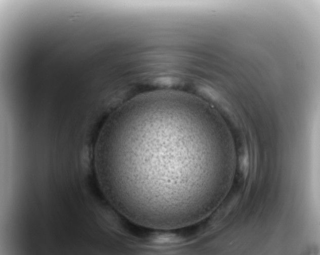 X0000088730605200706071641