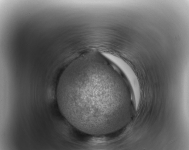 X0000088730606200706071641