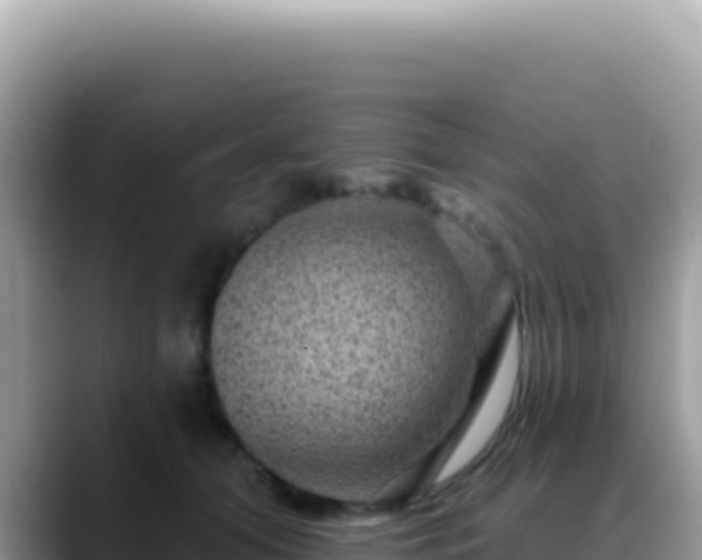 X0000088730608200706071641