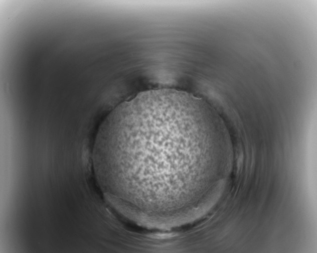 X0000088730609200706071641