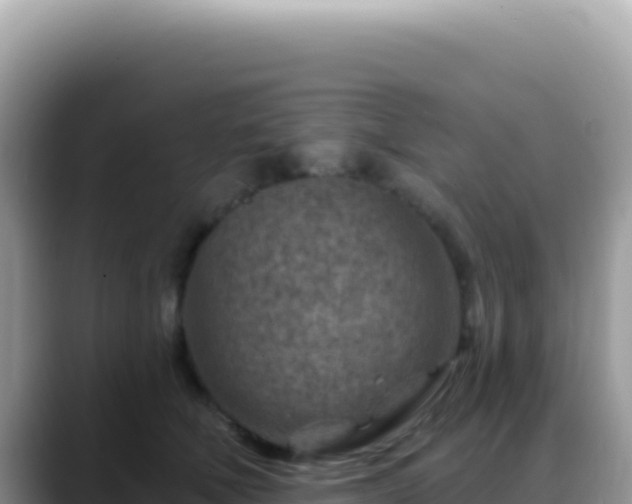X0000088730610200706071641