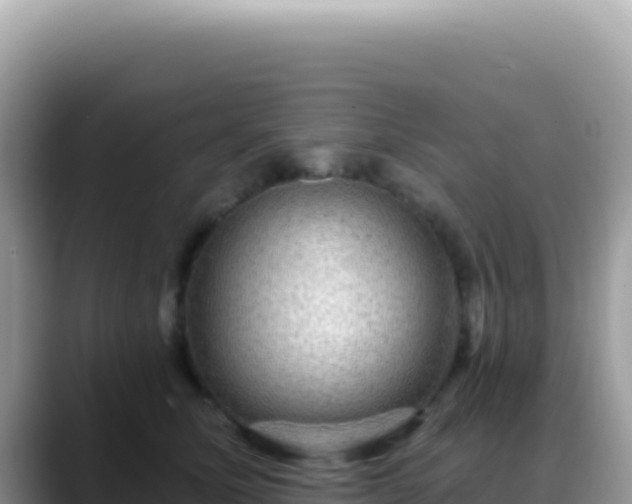 X0000088730611200706071641