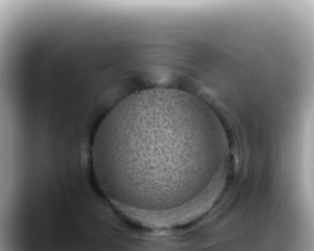 X0000088730612200706071641
